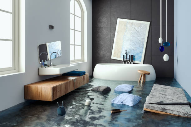 Best Flood damage cleanup  in Ferrum, VA