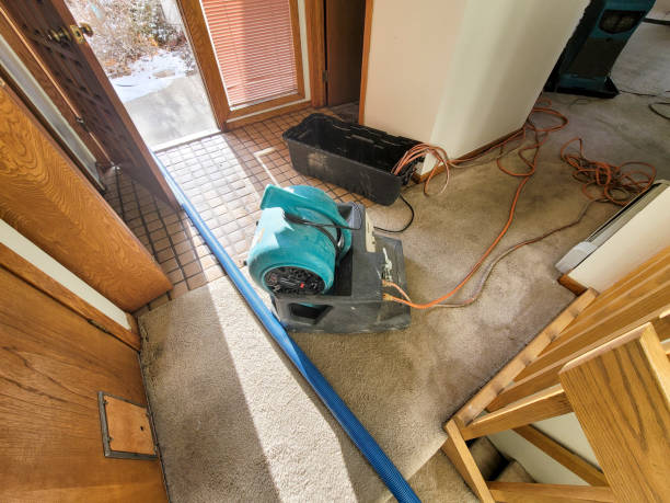 Best Sewage cleanup and water damage restoration  in Ferrum, VA