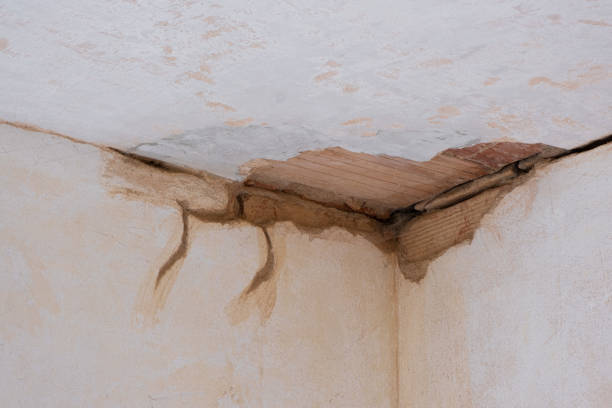 Best 24-hour water damage restoration  in Ferrum, VA