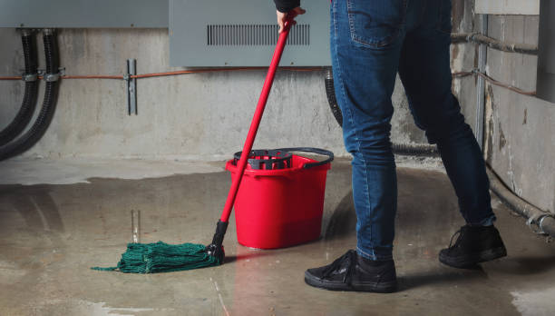Best Flood damage cleanup  in Ferrum, VA