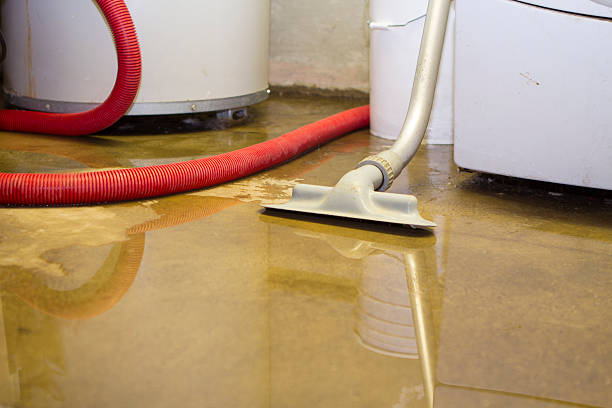 Best Sewage cleanup and water damage restoration  in Ferrum, VA