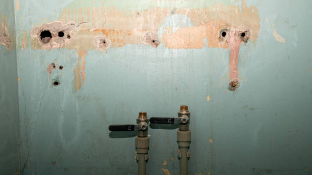Best Flooded house restoration  in Ferrum, VA