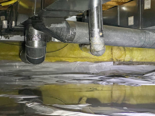 Best Basement water damage restoration  in Ferrum, VA
