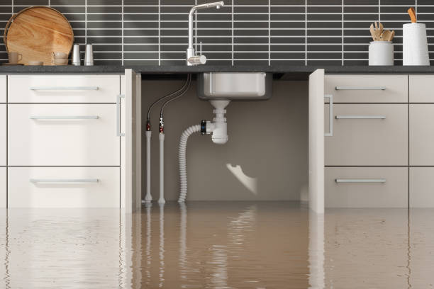 Best Emergency water damage restoration  in Ferrum, VA