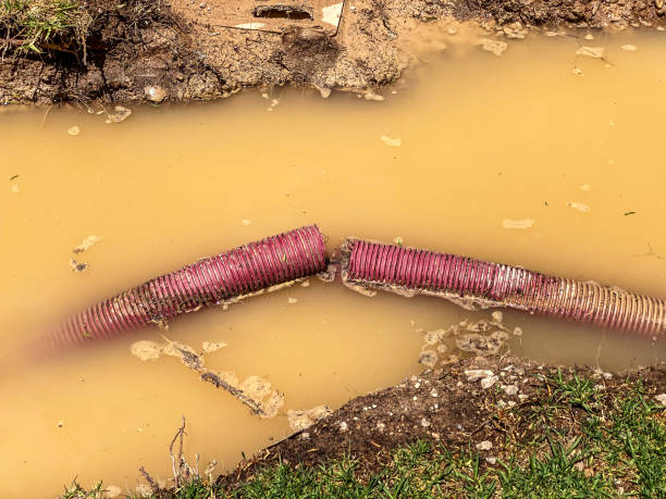 Best Water damage mitigation services  in Ferrum, VA