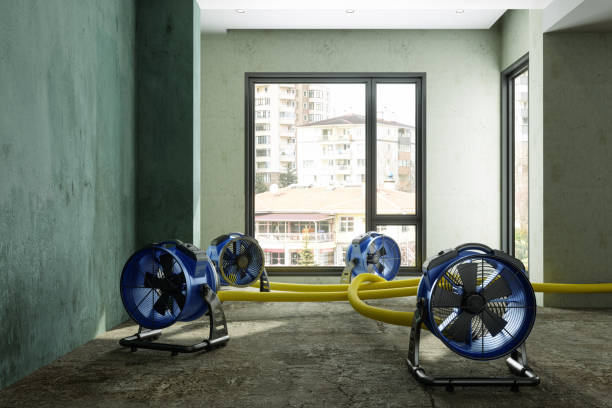 Best 24-hour water damage restoration  in Ferrum, VA