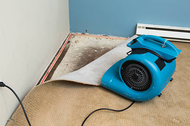 Best Residential water damage restoration  in Ferrum, VA